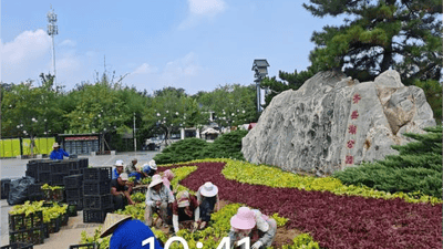 市公园城市服务中心聚力提升齐盛湖公园游园品质