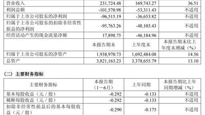 硅片龙头,上半年净亏损9.65亿元!年内股价上涨逾两成