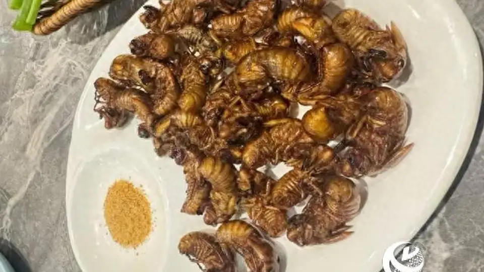 夏日“爬叉”虽美味 尝鲜有度莫贪多