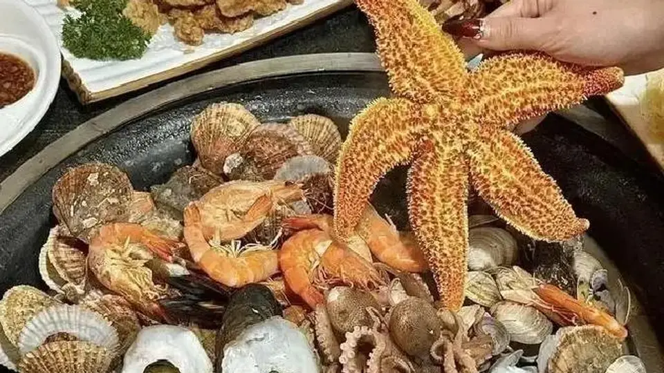 今年夏天胶东半岛多元活动拉满，看海听歌逛景区还能解锁清凉新体验