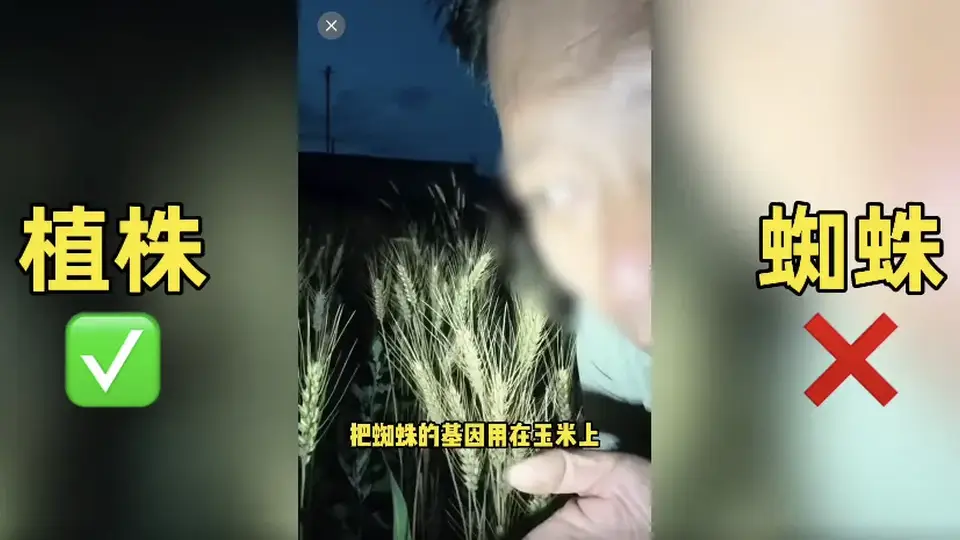 农业网红诋毁袁隆平成果，不能只封号就完事