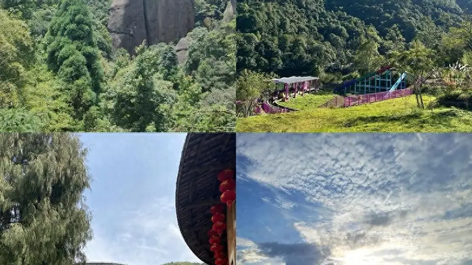 快节奏生活太疲惫？一杯陈年岩茶，道尽人生沉淀的大智慧