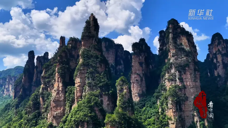 临溪避暑觅清幽,金鞭溪畔享清凉