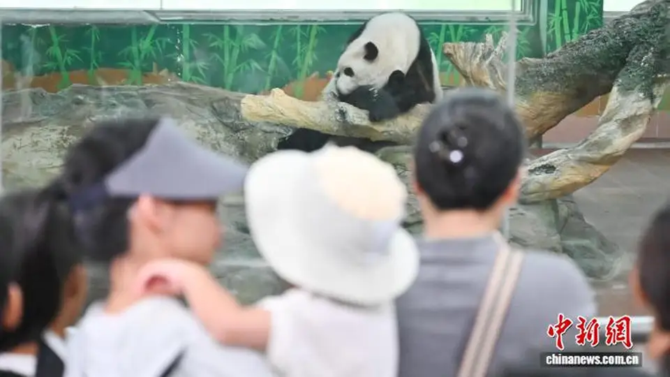 广州动物园暑期多元互动体验拉满 亲子家庭乐享游园时光