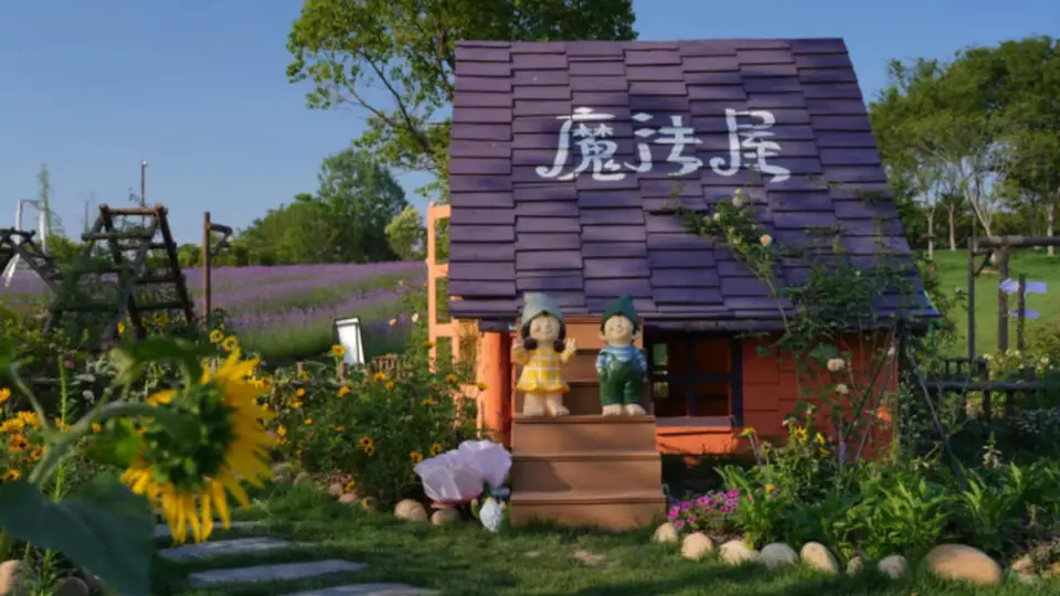 盛夏来雨花稻香花海参与夏夜活动 沉浸式赏萤听音乐解锁治愈体验
