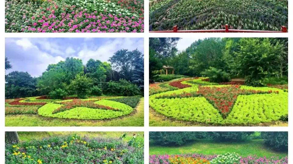长春百花园打造五星园艺景观 邀您暑期游园感受红色花韵