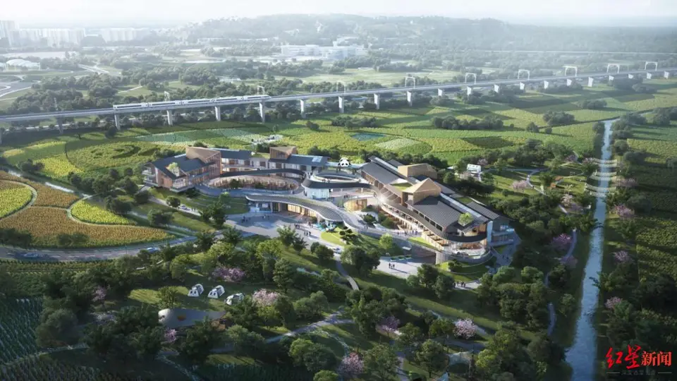 10分钟直抵熊猫基地！来成都熊猫国际旅游度假区暻阁度假酒店 沉浸式熊猫主题野奢体验等你来玩