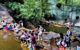 茉莉花开|连云港云台山景区:盛夏寻清凉,亲子欢乐正当时