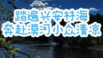 7-8月漠河避暑好去处 多元清凉场景等你参与还能邂逅治愈打卡惊喜