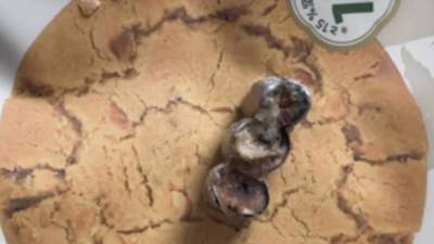 泸溪河金属牙冠事件后续：排除生产端混入可能，投诉人致歉 多元活动引关注 参与体验获认可