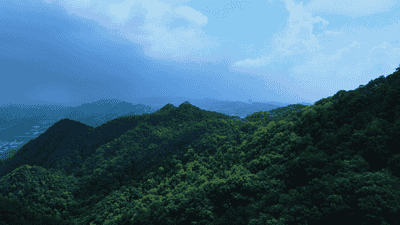 自然渝你 | 走进城市绿野，开启初夏治愈“森”呼吸