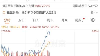 刚刚，硬核科技股大反攻