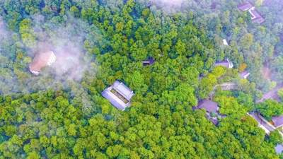 夏日出逃计划：直达大洪山21°C清凉秘境！