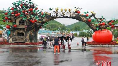 中国今年上半年旅游投诉数量同比下降24.2%