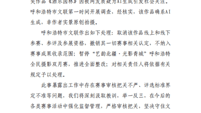 摄影比赛一等奖作品被质疑为AI生成，呼和浩特通报：该作品确系AI生成