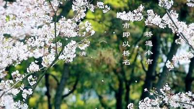 跟着档案去旅行 | 南湖凤桥：江南水乡的古风新韵