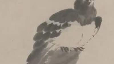 白眼背后的遗民心声：八大山人笔下动物的沉默控诉