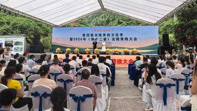 第四届炎陵黄桃文化季启幕 推出三条精品路线 应届中高考生可免费游玩三大景区