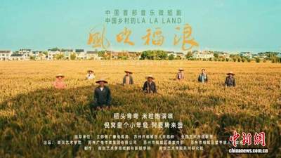 多元参与感受大主题 音乐微短剧《风吹稻浪》研讨会邀你共探鲜活乡村图景