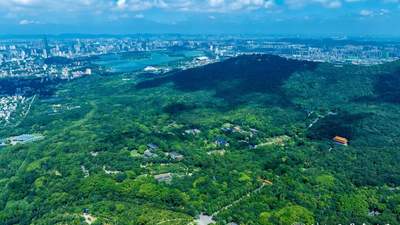 2026年全国高校新生看过来！南京钟山风景区携五大景点免票邀你赴金陵文化之约