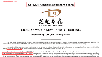 全球最大锂电铜箔供应商龙电华鑫冲刺美股IPO 多元投资意向与高端产能布局引关注