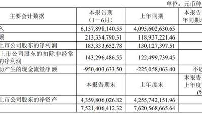有研新材上半年净利超四成增长 存货因备货需求大幅增至18.86亿元