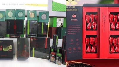 白沙陨坑茶凭独特文旅创意摘得海南旅游商品大赛双奖项 邀你体验茶旅融合新玩法