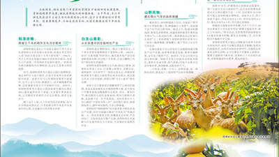 来屈家岭参与多元体验 触摸五千年前稻种传承