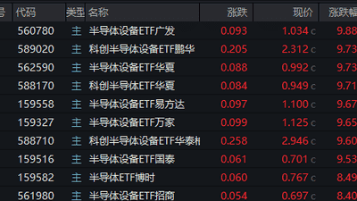 看半导体ETF现场热闹非凡 多只产品获大额资金热捧参与