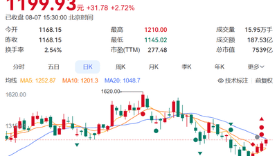 8月7日寒武纪公布超亮眼半年业绩 多元经营成果引得市场关注亮眼表现 股价年内涨幅超30%市值站稳七千五百亿