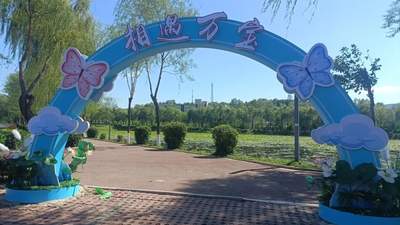 荷风送香赴新约！万宝公园新增两处网红打卡点