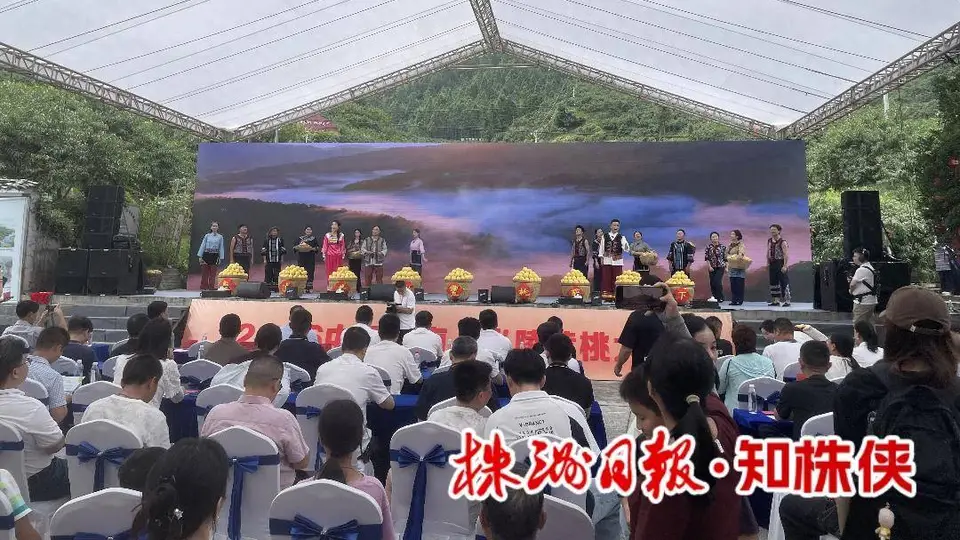 第四届炎陵黄桃文化季启幕推出三条精品路线