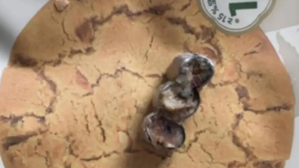 泸溪河金属牙冠事件后续：排除生产端混入可能，投诉人致歉 多元活动引关注 参与体验获认可