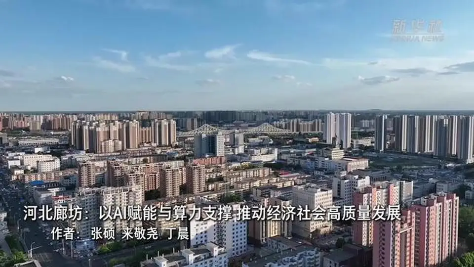 河北廊坊：以AI赋能与算力支撑 推动经济社会高质量发展