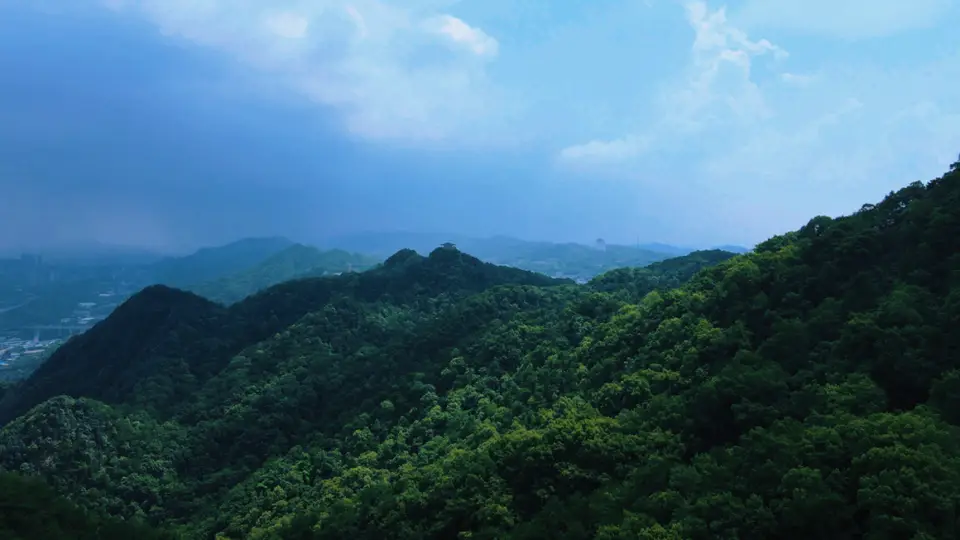 自然渝你 | 走进城市绿野，开启初夏治愈“森”呼吸