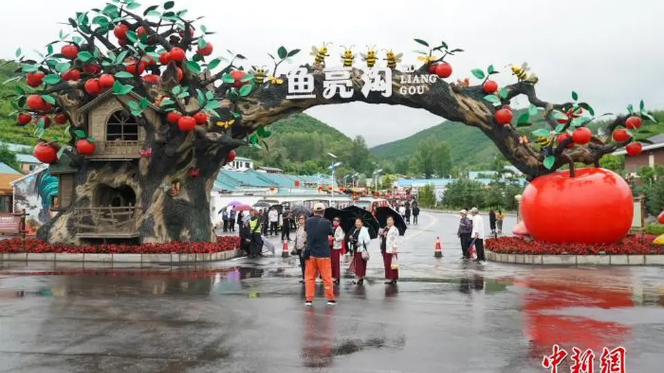 中国今年上半年旅游投诉数量同比下降24.2%