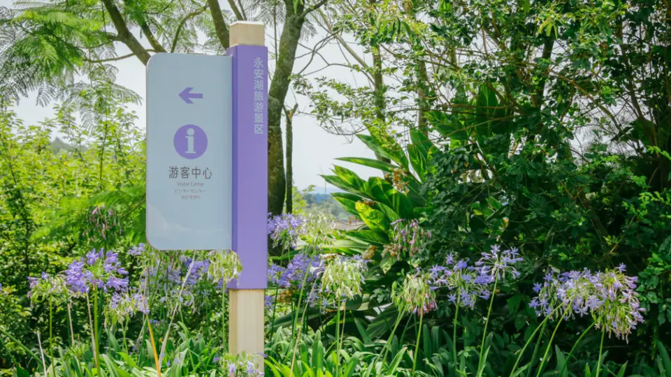 夏日限定浪漫!来永安湖走“花路”啦