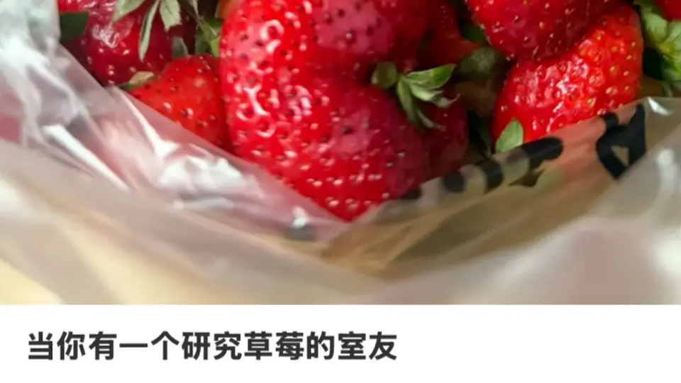 农学课堂上的“追逐”与收获:从羊到草莓的奇妙之旅