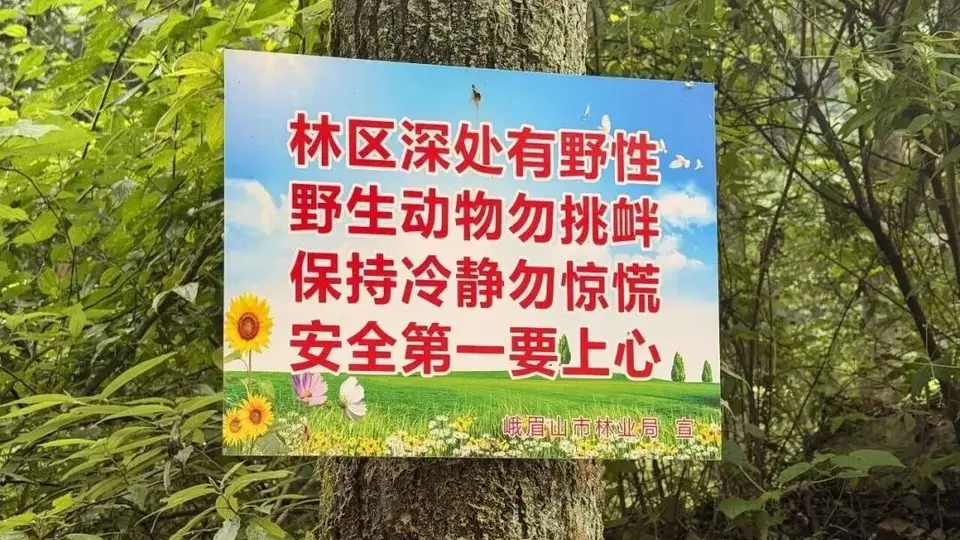 峨眉山市提醒：远离未开发野景点，安全第一