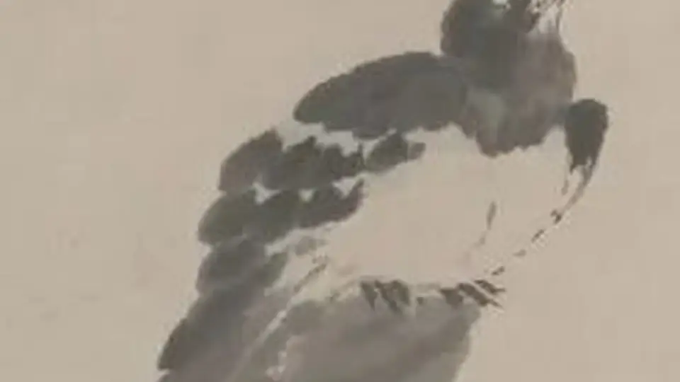 白眼背后的遗民心声：八大山人笔下动物的沉默控诉