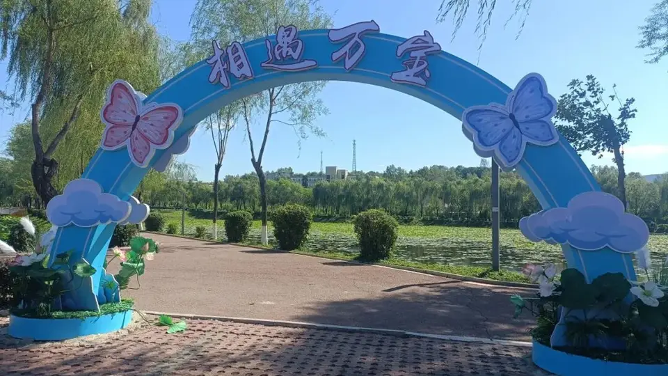 荷风送香赴新约!万宝公园新增两处网红打卡点