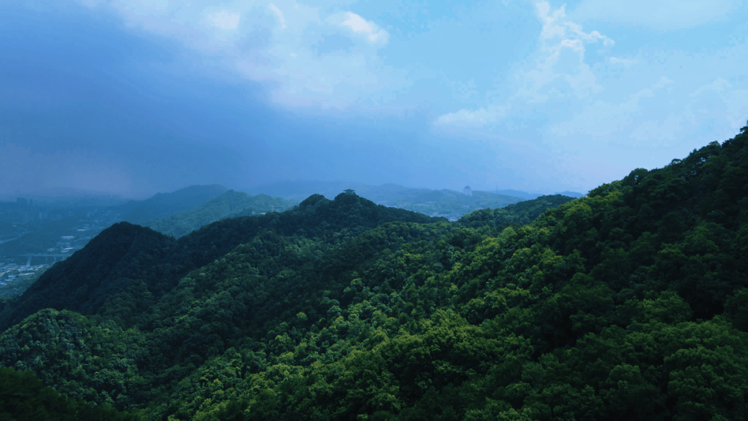 自然渝你 | 走进城市绿野，开启初夏治愈“森”呼吸